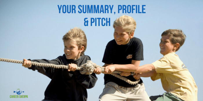 Your Summary, Profile and Pitch