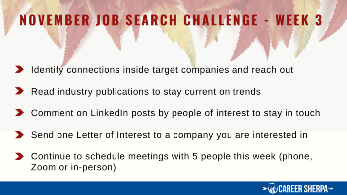 Job search challenge week 3