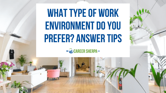 What type of work environment do you prefer