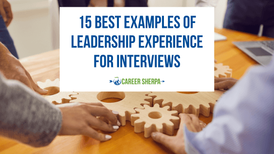 Examples of leadership experience