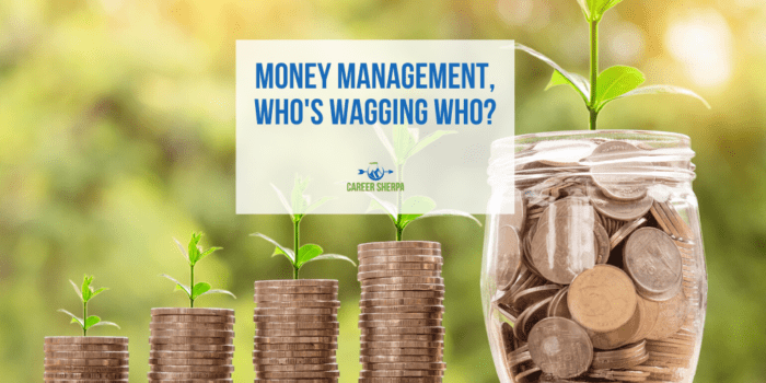 Money Management, Who's Wagging Who?