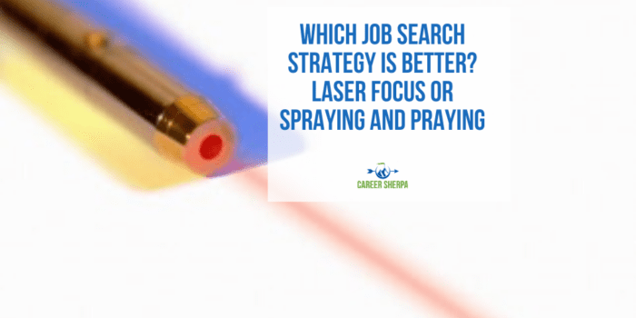 Job Search Strategy Is Better_ Laser Focus or Spraying and Praying