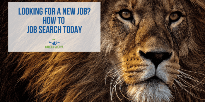 how to job search 2018