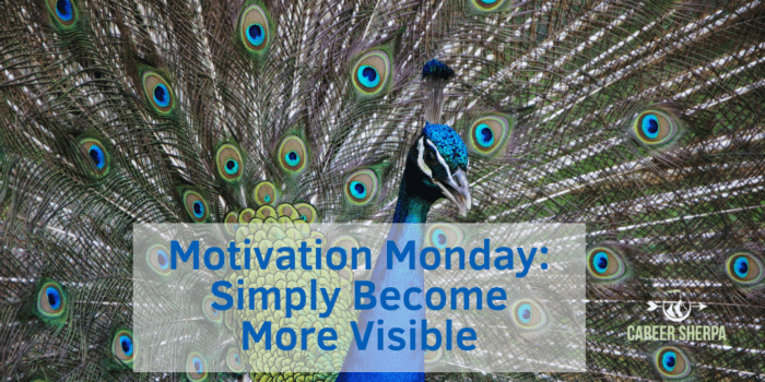 become more visible