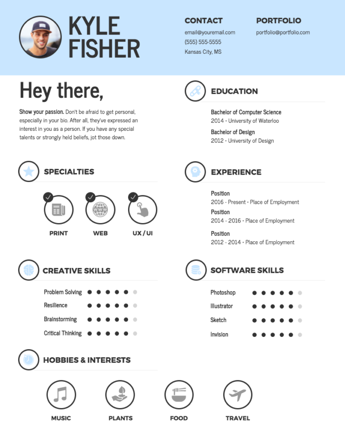 infographic resume Venngage