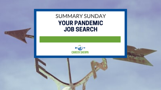 Summary Sunday Your Pandemic Job Search