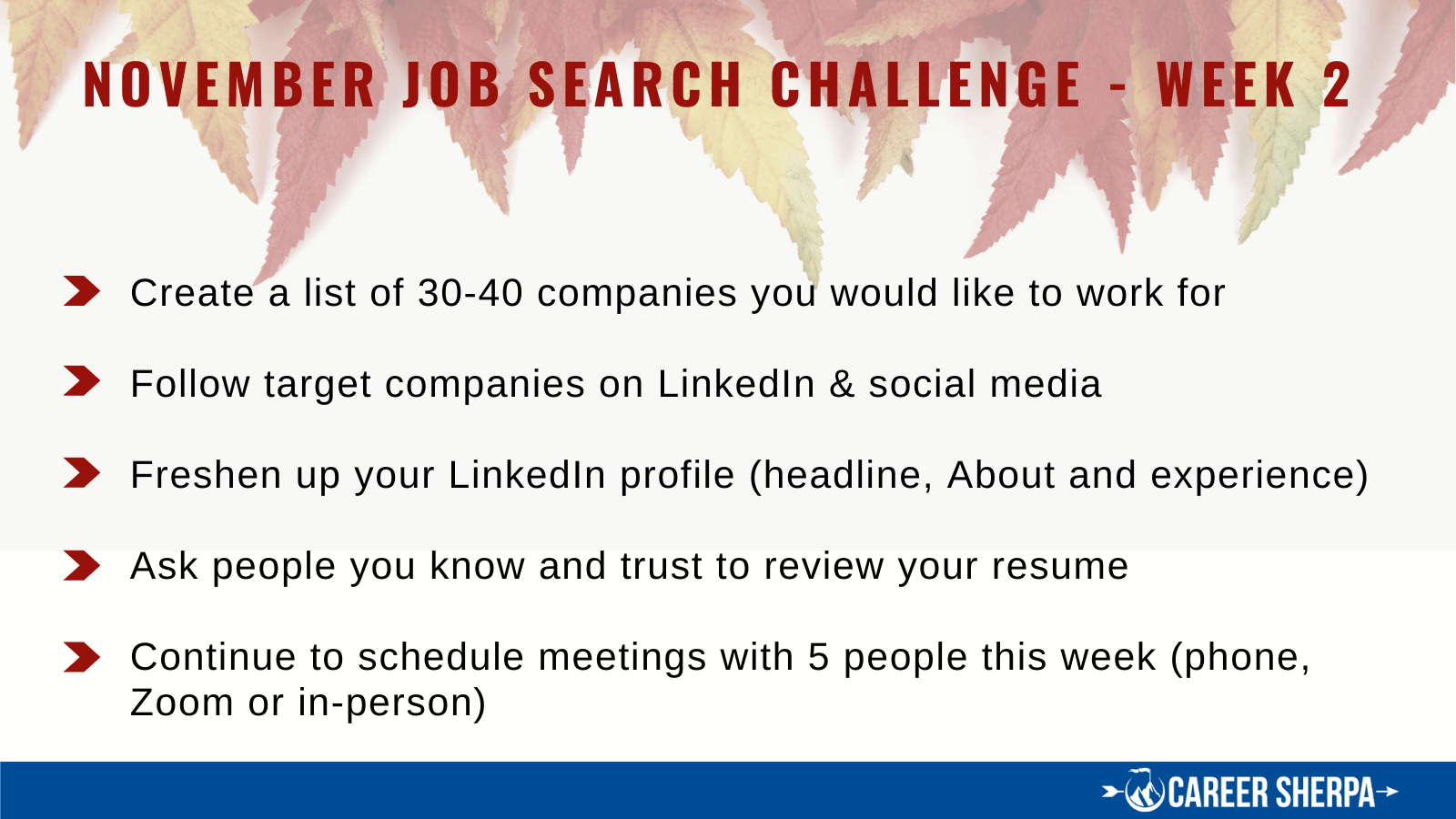 Week 2 November Job Search Challenge 