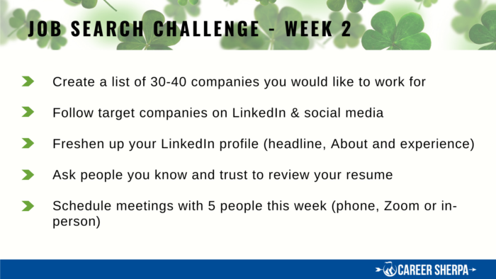 Job Search Challenge week 2