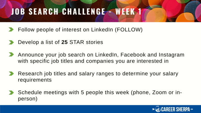 Job Search Challenge Week 1